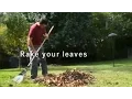 Leaf Collection 2015-2016