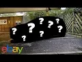 I WON MY NEW PROJECT CAR CHEAP ON AN EBAY AUCTION THIS COULD GO WRONG