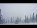 Download Lagu Fall Asleep Instantly to Blizzard | Powerful Wind and Snow Ambience for Deep Sleep and Focus