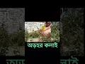 Download Lagu অড়হর কলাই থেকে ডাল তৈরি করার নিয়ম