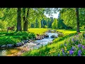 Download Lagu Prachtige ontspannende muziek 🍀 Zachte melodieën kalmeren je geest en ziel
