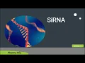 Download Lagu SiRNA/Small interfering RNA