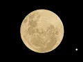 Full Moon Rise Melbourne Australia