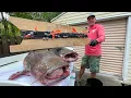 Hand Lining MONSTER Flathead Catfish Catch Clean Cook
