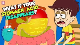 Download What If Your Stomach Acid Disappeared | Gastric Acid | The Dr Binocs Show | Peekaboo Kidz MP3