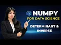 Determinants and Inverse Matrices Explained Clearly in 10 Minutes Linear Algebra with NumPy