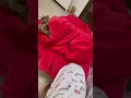 Fermatelo!! #cute #youtubeshorts #dog #love #dogs #trending #funny #funny #dachshund