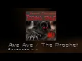 Download Lagu Ave Ave / The Prophet