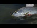 Find Your Water Season 1 Episode 5 Blue Collar Salt