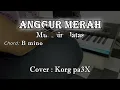 ANGGUR MERAH Muchsin Alatas Karaoke Dangdut Korg Pa3x (Nada Cowok)