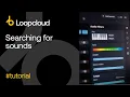 Searching for Sounds - Loopcloud 6