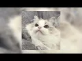 Download Lagu This Is What You Came For / sped up / tiktok remix