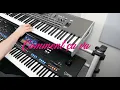 Download Lagu Comment ca va (The Shorts) - Cover Schlagerburschi