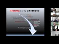 Dauphin County CJAB Connect - Part 2 of 2 Trauma Criminal Justice Intersection