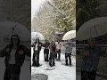 Download Lagu The First Snow ❄️
