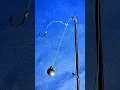 Download Lagu Cara Membuat Rangkaian Pancing Dasaran Arus Deras - Bottom Fishing Rig