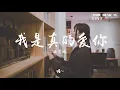 Download Lagu 【HD】我是真的爱上你 - 曲肖冰[歌詞字幕][完整高清音質] Qu Xiaobing - I really love you