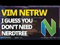 Vim Is Netrw A Better Alternative To NerdTree