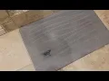 SUTERA Stone Bath Mat Non Slip Super Absorbent Quick Drying Review