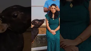 Kissing Prank  Kissing Prank