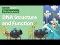 DNA Structure and Function Sketchy MCAT Biochemistry