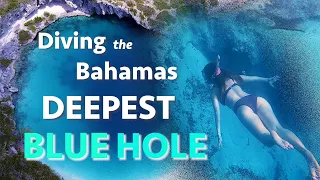Diving The Bahamas Deepest Blue Hole (Calico Skies Sailing, Ep. 49)