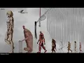 Attack on Titan size comparison 2D Anime Style 4k 60fps
