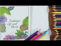 How to color zentangle with color pencils zentangle coloring book Review Unboxing of coloring book