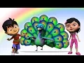 Download Lagu Nach Re Mor Pankh Faila Ke | 3D Rhymes In Hindi | नाच रे मोर | Kids Channel India | Hindi Rhyme