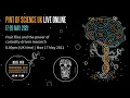 Download Lagu Fruit flies and the power of curiosity-driven research