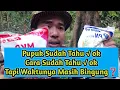 Lagu Inilah Waktu dan Cara Yang Tepat Merangsang Pohon Durian Lokal