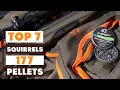 Top 7 177 Pellets for Squirrels Enhance Your Squirrel Hunting Skills