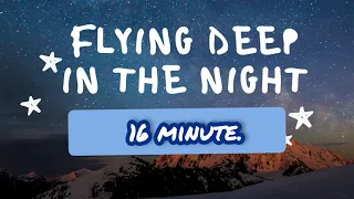 Download Flying Deep In the Night(김은 밤을 날아서) for 16 minute MP3