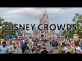 How to Beat the Crowds at Walt Disney World Insider Tips Crowd-Avoidance Hacks