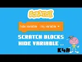 Scratch blocks - hide variable