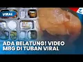 Download Lagu ADA BELATUNG di MBG Tuban, Videonya Viral di Media Sosial, Camat Buka Suara soal Fakta Sebenarnya