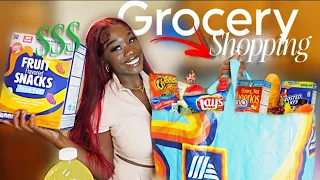 I SPENT UNDER 100 at ALDIS Budget Grocery Shopping for Family of 3