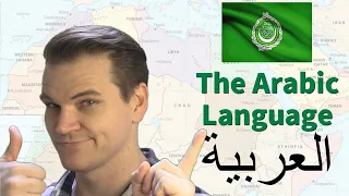 the arabic language its amazing history and features 