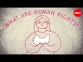 What are the universal human rights - Benedetta Berti