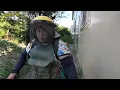 Download Lagu Sampe pada kaget \u0026 Nonton in Sulastri 15 ‼️ Babat Rumput pake Mesin potong, Tkw Taiwan.