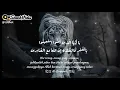 Download Lagu Story WhatsApp // Macan putih
