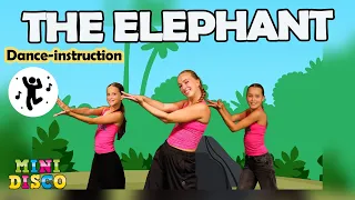 The Elephant 🐘 | Learn the Dance of this Kids Song! 💃 | Minidisco