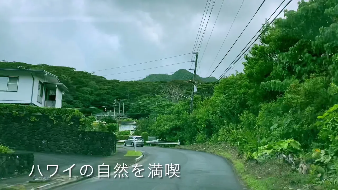 ハワイ ワイキキ発  ↔ マノア滝ハイキング 往復シャトル ＜フリープラン／往復送迎付き＞Blue Wave Tour