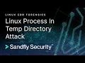 Linux EDR Detecting Processes Running from Temporary Directory Attack