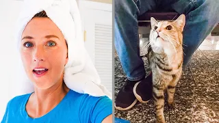 Moving Back With Mom & Dad – Flying Home to the U.S. – WITH A CAT!!  (MJ Sailing – Ep 167)