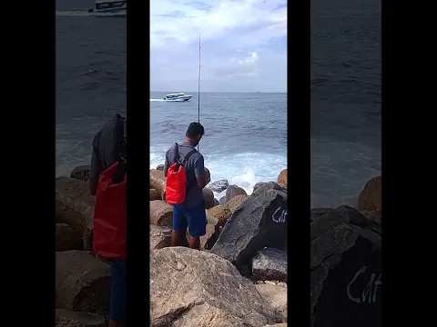 male City try to fishing