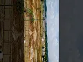 Download Lagu walaupun banyak kita buat kebaikkan dgn sesorang, sekali kita silap, seumur hidup akan hilang,