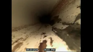                          دندنها
