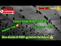 Download Lagu Suara Inap Walet RBW Sukses - DNA suara legendaris 👍 Jangan dilewatkan video ini