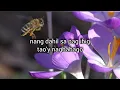 Lagu Nang Dahil Sa Pag ibig   -   Anthony Castelo / Lyrics